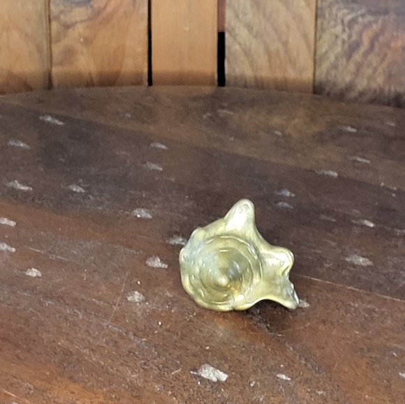 Brass Sea Shell - Picture 7 of 14